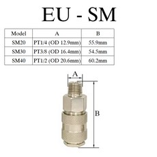 EU 유럽 표준 에어 호스 피팅 커플링 압축기 액세서리 공압식 퀵 커넥터 압축기 릴리스 피팅, 20, EU SM