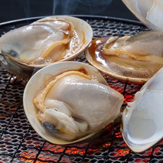 조개구이백합조개, 백합1kg