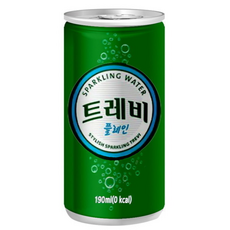 트레비 플레인 업소용, 1개, 190ml