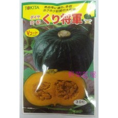 TOKITA 將軍栗子南瓜種子 綠皮 橙肉 早生品種 30粒, 1包