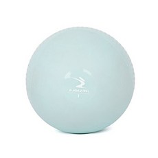 미즈누아 소프트토닝볼 1kg 2개 소도구 마사지 피트니스 자세교정