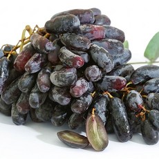 [타임특가]블랙 사파이어 초고당도 포도 씨없는 가지포도, 1박스, 400g