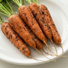 26년 경남 햇 당근 산지직송, 1박스, 5kg (왕)