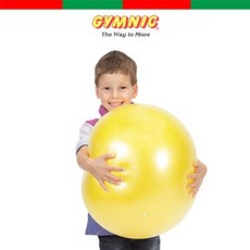 짐닉 소피볼 3종 유아 짐볼 단체놀이 밸런스운동 체육활동