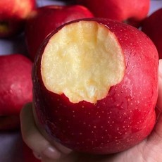 [슈퍼딜]경북농가 긴급공급 산지장인 조청꿀브릭스 못난이사과, 1박스, 3kg