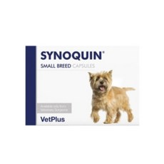 벳플러스 사이노퀸 스몰브리드 강아지 독 소형견 관절 연골 영양제 캡슐형, 30회분, 뼈/관절강화, 2개