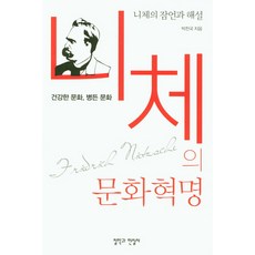 니체의 문화혁명:니체의 잠언과 해설 | 건강한 문화 병든 문화, 철학과현실사, 박찬국