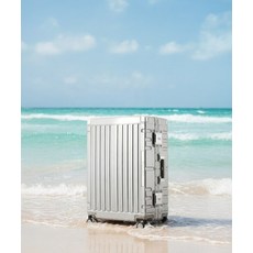 [국내정품] STARKSEIN 파비스 20인치 캐리어 106372