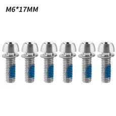 MUQZI 자전거 크랭크 암 고정 볼트 디스크 브레이크 켈리퍼 MTB 스템 나사 M6x17mm 6 개, 01 실버