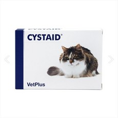 벳플러스 시스테이드 30캡슐 특발성방광염 고양이방광염, 1개, 유리너리+결석, 30정