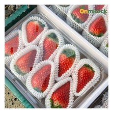 온미락 논산 킹스베리 특 500g(14개입내외) 제철 생딸기 고당도 딸기 선물185704