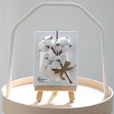 목화 조화 꽃 캔버스 액자 이젤 25cm 인테리어 테이블 장식 소품 꾸미기, 단품, 1개