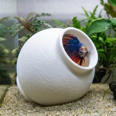 달항아리 수족관 장식 베타 치어 은신처 새우 놀이터 수초 포트 어항꾸미기 모네와쿠아 달품, 이클립스 블랙, 중형, 플랫형(Flat)