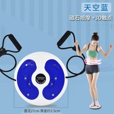 공기주입식 스탭퍼 발지압 유산소 실내 걷기 운동기구, G. 자석 허리 비틀기 디스크 블루 줄 포함