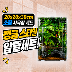 시소네 도마뱀 아크릴 사육장 세트 20x20x30cm 소형 실속세트형 테라리움 정글 인테리어 크레스티드 게코 사육장 꾸미기 DIY, 1개, 투명 아크릴