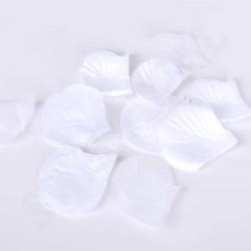 꽃잎 컨페티 화이트 100장 종이꽃가루 웨딩꽃가루