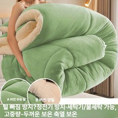기모 이불 겨울 보온 두꺼운 베이지 두툼한 따숨 기숙사 대형 침구 캠핑용 포근한 양털 담요 남극, 1cm, 밀크벨벳-그린