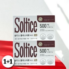솔티스 콜레스테롤 H/L 밀크씨슬 아연 2박스 (60정) 590996, 2개, 30정