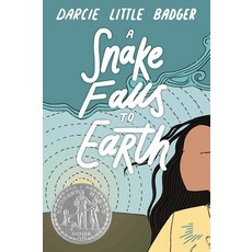 A Snake Falls to Earth:Newbery Honor Award Winner, Levine Querido