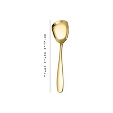 스테인리스 스푼 애완견 사료 평평한 국자 메탈 스쿱, 1개, 골드 소형 15.1cm