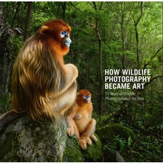 (영문도서)How Wildlife Photography Became Art: 55 Years of Wildlife Photographer of the Year Hardcover, Natural History Museum, English, 9780565095130