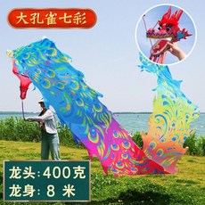舞龍綵帶 舞龍綵帶甩龍手甩龍鋼架龍頭彩綢廣場舞中老年健身龍運動道具8米, 1個, 8米+塑料龍頭全套, 七彩 大孔雀