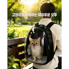 반려동물 우주 캡슐 가방 도매 전경 투명 고양이 가방 외출 휴대용 소형견 대용량 백팩, 1개, 검정색