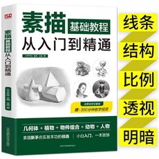 番茄書屋 促銷4本繪畵基礎敎程：素描、漫畵、人物速寫，新手入門零基礎, 素描基礎教程從入門到精通