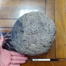 印尼隕石 Agni Manitite 火山玻璃 8.7公斤 能量礦石 俗稱印尼天狼星 烈火石 黑隕石 古黑曜石, 1個