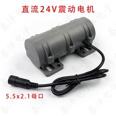 R3650 振動馬達 12V 24V 直流震動電機 密室逃脫/按摩床適用, 1個, 24V振動電機