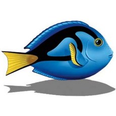 커스텀 모자이크 Inc. 블루 탕 도자기 수영장 모자이크섀도우 포함 8인치 x 6인치, 5" x 3"