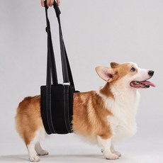 조이포 강아지 뒷다리 슬개골 관절 보조기, 1개, 블랙