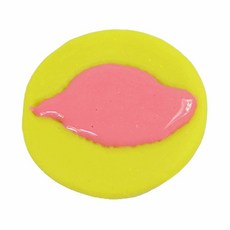 어린이집 나뭇잎 화석 모형 점토 클레이 만들기 5인/ 공룡화석만들기 과학만들기, 2세트