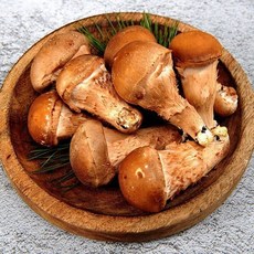 곡성 산지직송 무농약 참송이 버섯 300g 가정용, 우체국쇼핑 곡성 산지직송 무농약 참송이 버섯 300g, 1