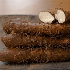 태산농장 안동 마 3kg, 장마 알뜰 3kg