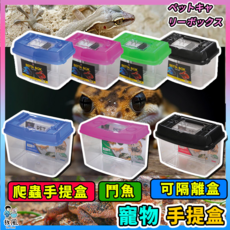 雅柏鬥魚/爬蟲盒 壓克力材質 附夾層板 透氣上蓋 顏色隨機, 雅柏-(S)海灣型手提盒, 1個