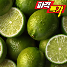 한끼밥상 생라임 20과(약1.7kg) 중과, 20개, 1.7kg