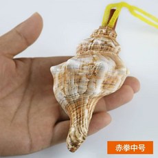 나각 뿔나팔 뿔 피리 소라 고둥 트럼펫 초대형 공예 호루라기 조개 관악기 천연 피리 나팔 개인용 가정용 업소용, 1개, C. 적권호 4-5cm 3마리