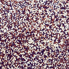 三色藜麥 1斤/600g, 1個, 一斤/600g