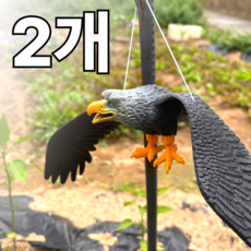 쿠리풀 비둘기 조류퇴치 독수리 모형 블랙, 2개