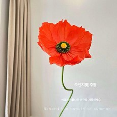자이언트 페이퍼 플라워 만들기 DIY 포토존 종이꽃 A, 귤컬러 1송이
