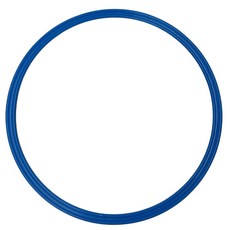 訓練圈 敏捷圈 跳格子 體能環 體能圈 套圈圈 訓練環 敏捷環 敏捷訓練 40公分 附魔鬼氈收納袋, 直徑40公分敏捷圈-藍色1個, 1個