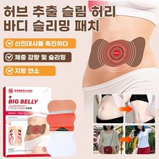 【극한 슬림】 지방 용해 패치 슬림잇 다이어트 패치 지방분해 뱃살 패치 바디 디톡스 밸런스 패치, 20pcs, 4개, 5개입