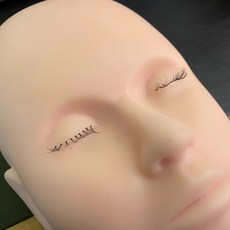 생활용 실리콘 귀모형