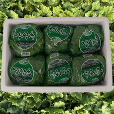 [선별품] 국내산 양상추 개별포장 최상급 정품 디아머스, 6개, 600g