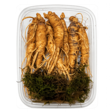 인삼 가정용 흙삼 200g 400g 삼계탕용 햇삼 4~5년근 생 인삼 산지직송 충청삼톡, 1개