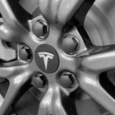 特斯拉輪圈蓋 4個+車輪螺絲蓋 20個, 黑色, 1套裝