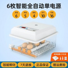 부화용 오리알 가정용 오리알부화기 부화기(싱글 40알 닭용 소형 오리 배터리), A. 6단 자동 단일 전기