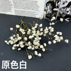 花藝夢 不凋滿天星 短枝 (約5克) 乾燥花 永生花 不凋花材 畢業花束 小配花 花束必備 配花, 原色白
