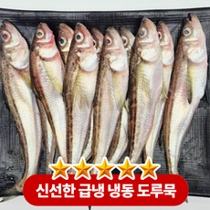 [재판매 1위] 국산 급냉 도루묵 생선 양미리, 1박스, 500g